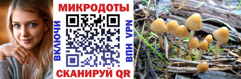 Купить  Новоуральск  Псилоцибиновые грибы Magic Shrooms 
